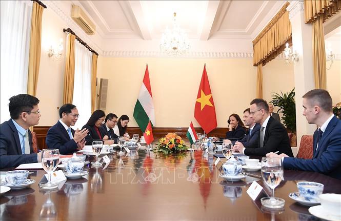 Phó Thủ tướng, Bộ trưởng Ngoại giao Bùi Thanh Sơn hội đàm với Bộ trưởng Ngoại giao và Kinh tế đối ngoại Szijjártó Péter